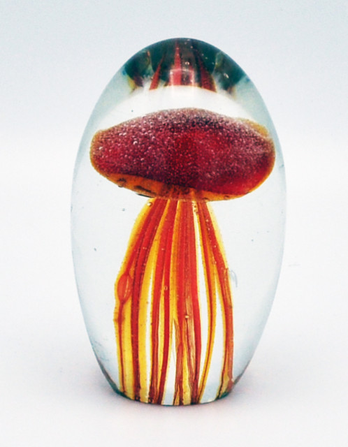 O4HOME + Jellyfish, donker oranje XS